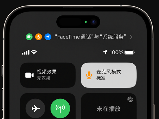 安居苹果授权维修网点分享iPhone在通话时让你的声音更清晰 