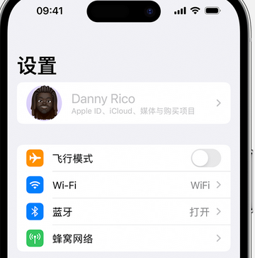 安居appleID维修服务iPhone设置中Apple ID显示为灰色无法使用 