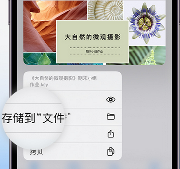 安居apple维修中心分享iPhone文件应用中存储和找到下载文件