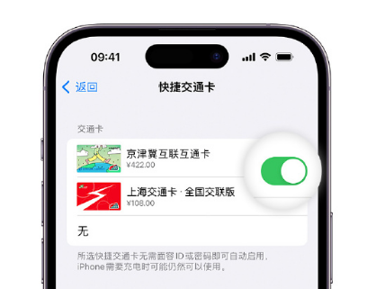 安居apple维修点分享iPhone上更换Apple Pay快捷交通卡手绘卡面 