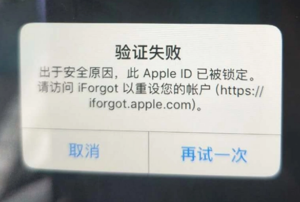 安居iPhone维修分享iPhone上正常登录或使用AppleID怎么办 