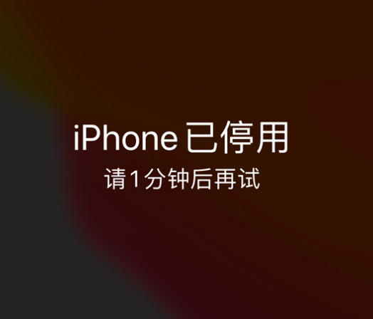 安居苹果手机维修分享:iPhone 显示“不可用”或“已停用”怎么办？还能保留数据吗？ 