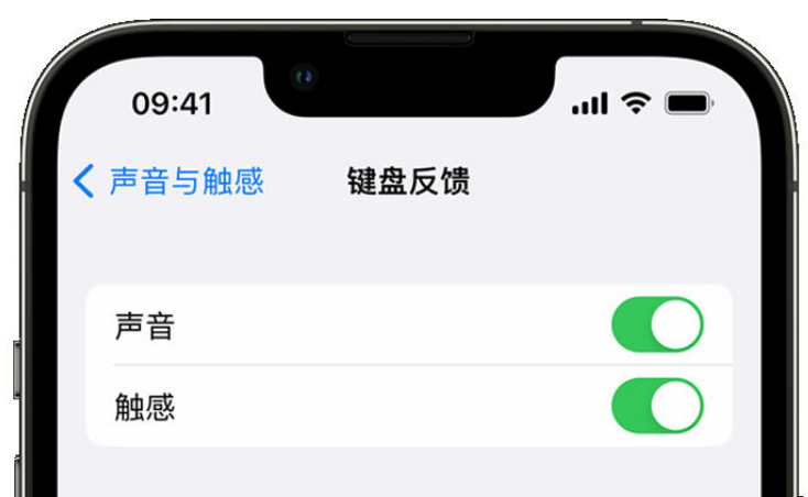 安居苹果手机维修分享iPhone 14触感键盘使用方法 