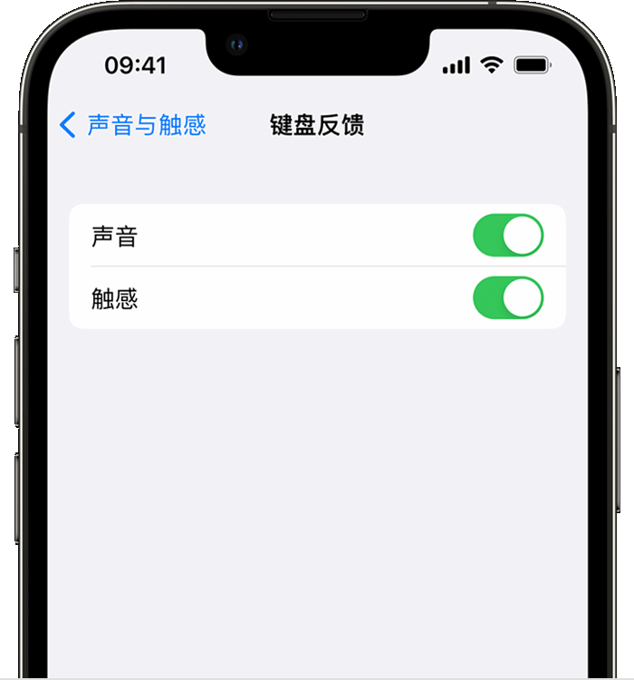 安居苹果14维修店分享如何在 iPhone 14 机型中使用触感键盘 