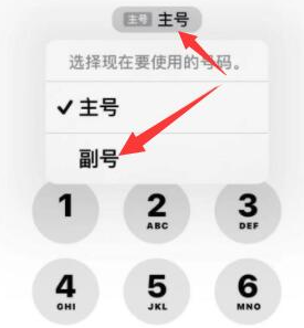 安居苹果14维修店分享iPhone 14 Pro Max使用副卡打电话的方法 