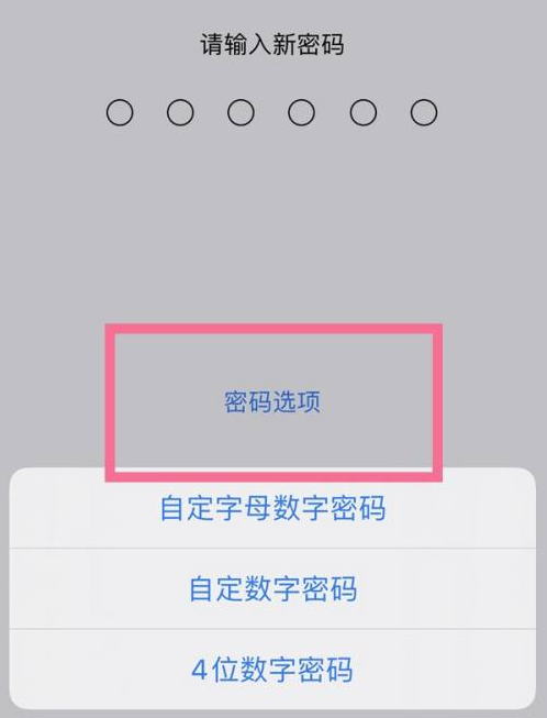 安居苹果14维修分享iPhone 14plus设置密码的方法 