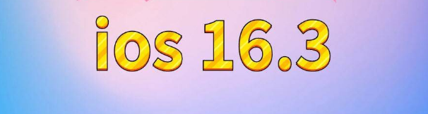 安居苹果服务网点分享苹果iOS16.3升级反馈汇总 