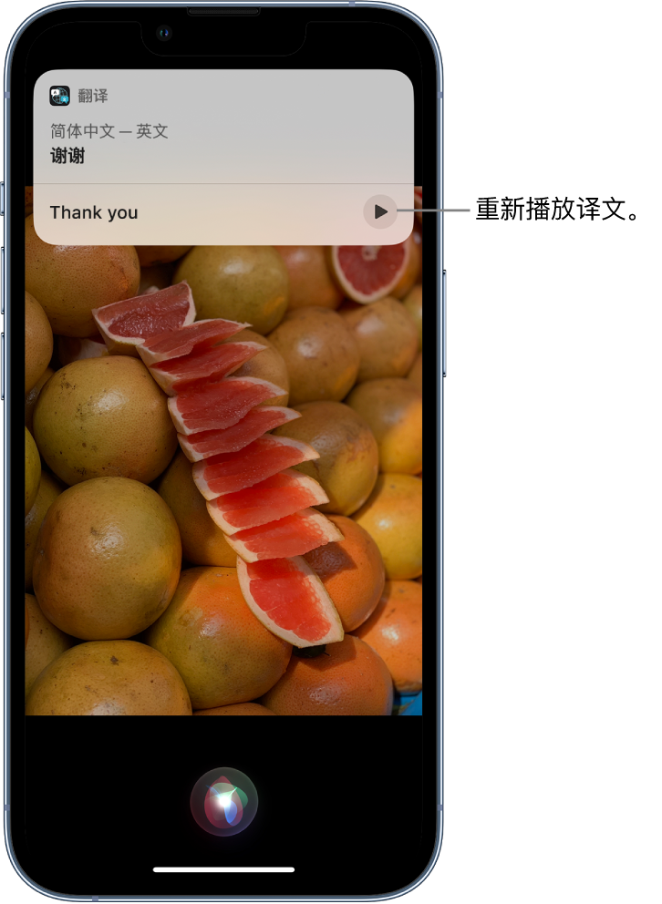 安居苹果14维修分享 iPhone 14 机型中使用 Siri：了解 Siri 能帮你做什么 