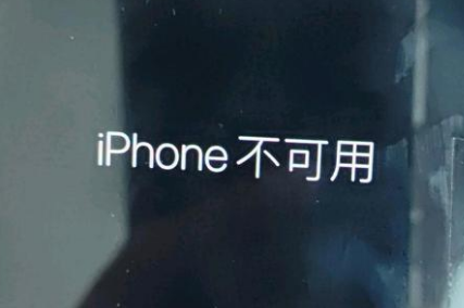 安居苹果服务网点分享锁屏界面显示“iPhone 不可用”如何解决 