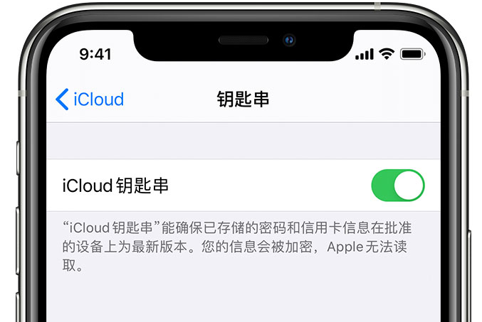 安居苹果手机维修分享在 iPhone 上开启 iCloud 钥匙串之后会储存哪些信息 