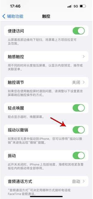 安居苹果手机维修分享iPhone手机如何设置摇一摇删除文字 