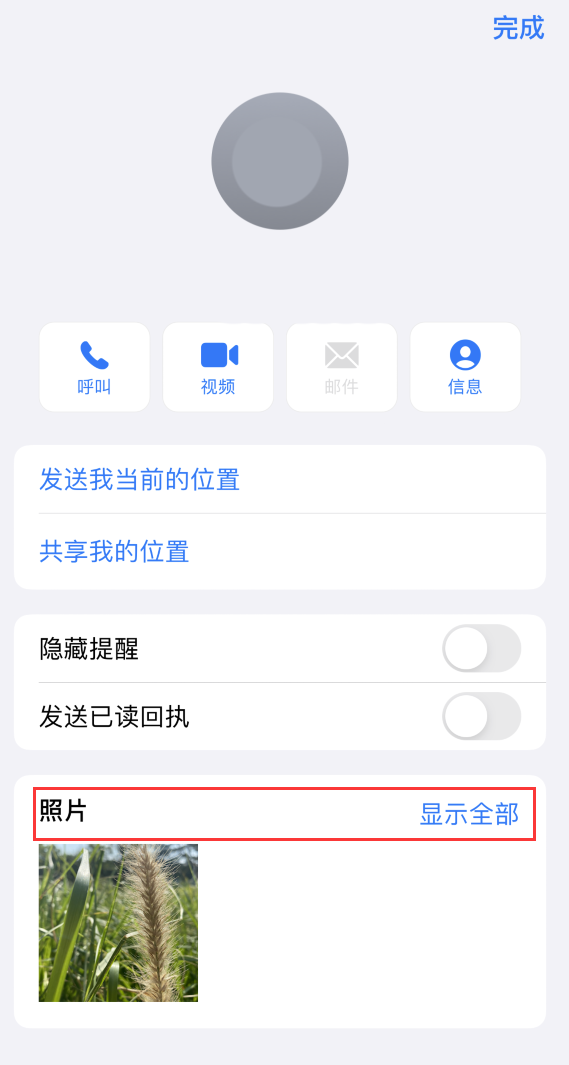 安居苹果手机维修分享如何快速查找 iMessage 信息中的图片等附件 